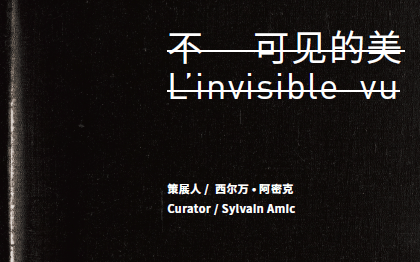 L'invisible vu