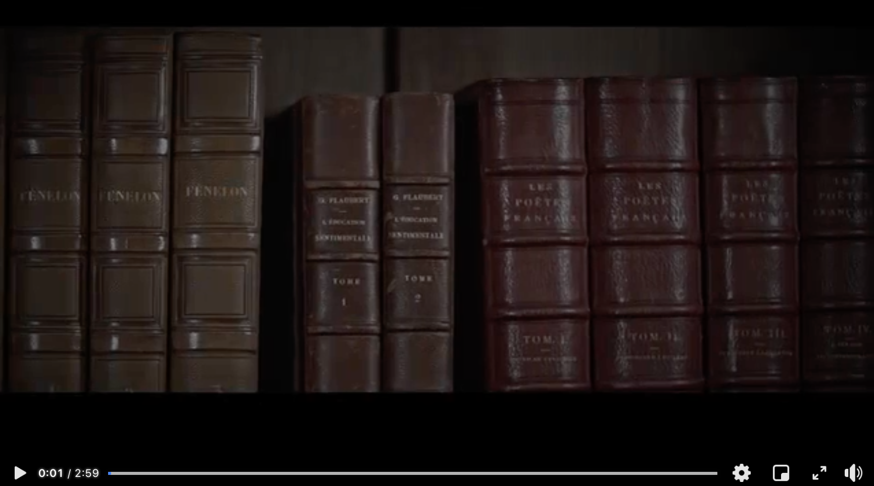 flaubert21.png